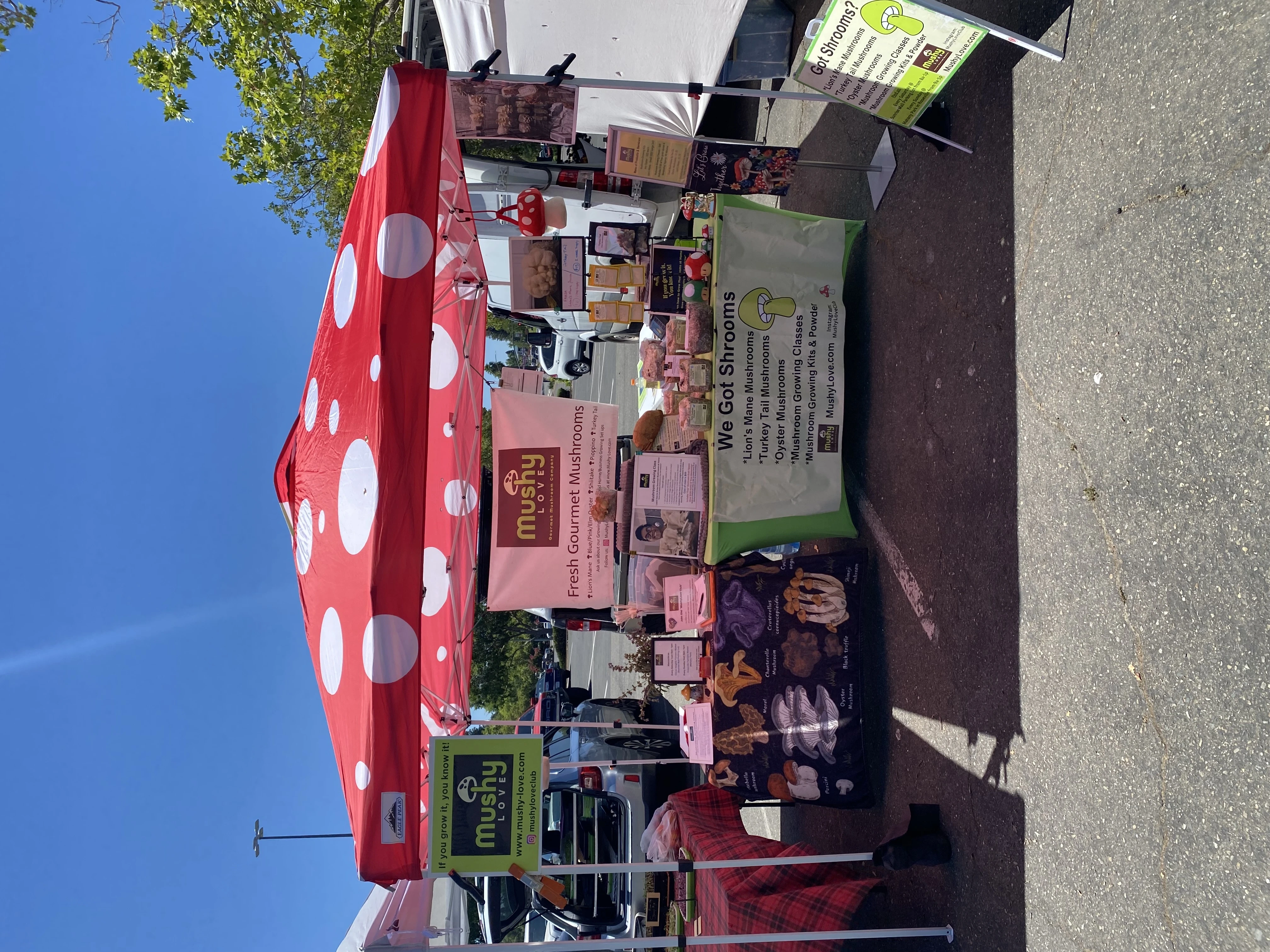 MushyLove booth setup 1
