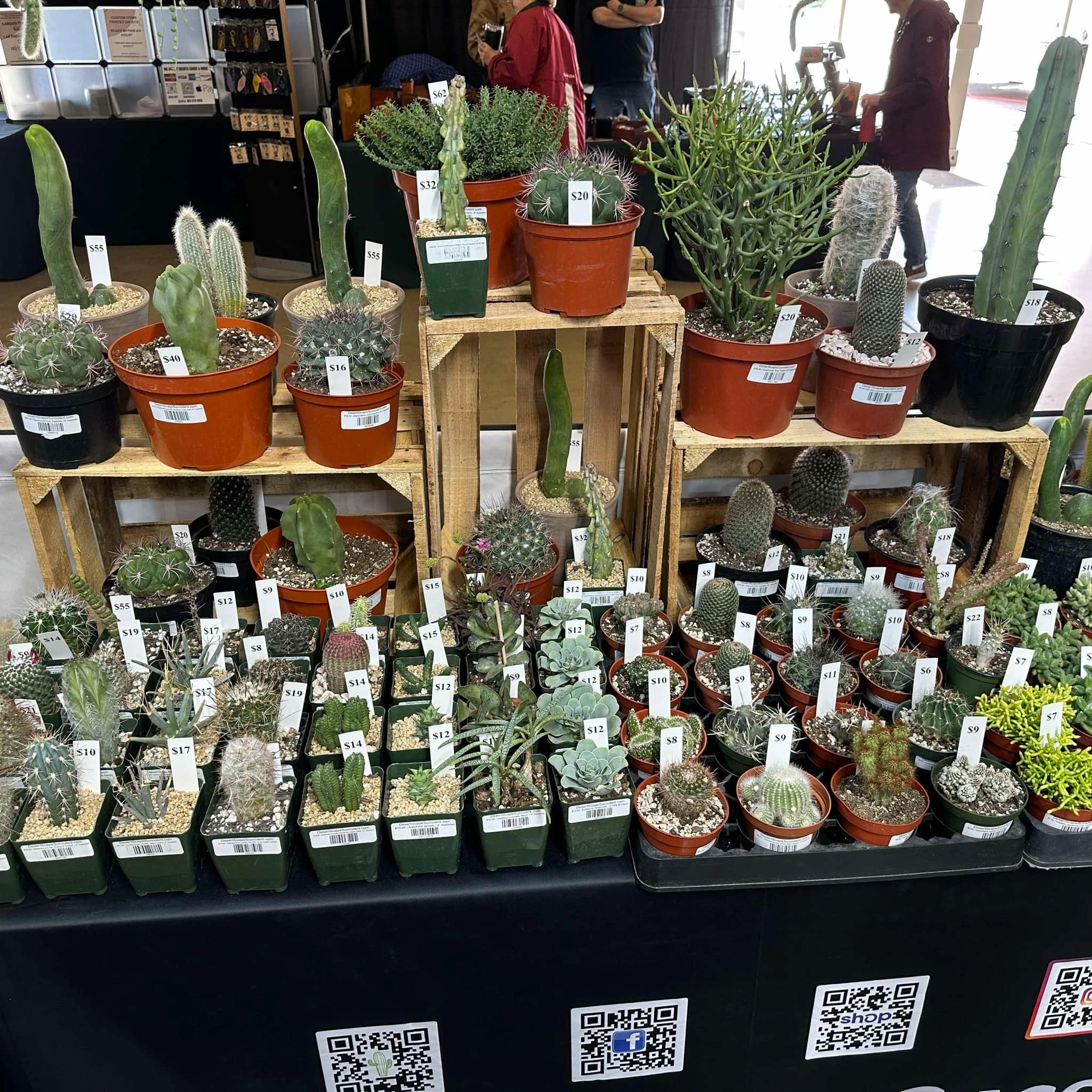 DesertScapeSucculent booth setup 1