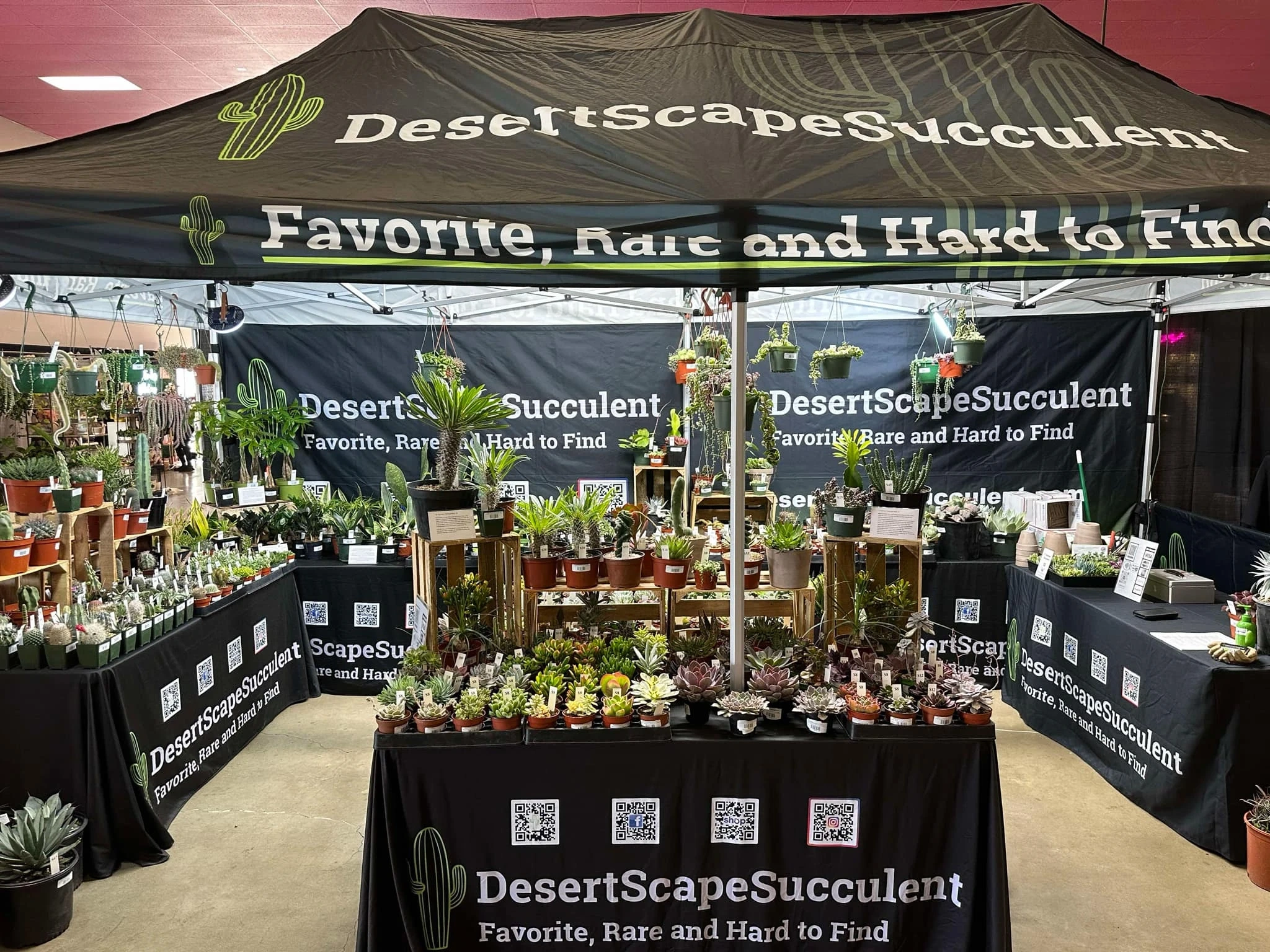 DesertScapeSucculent booth setup 2