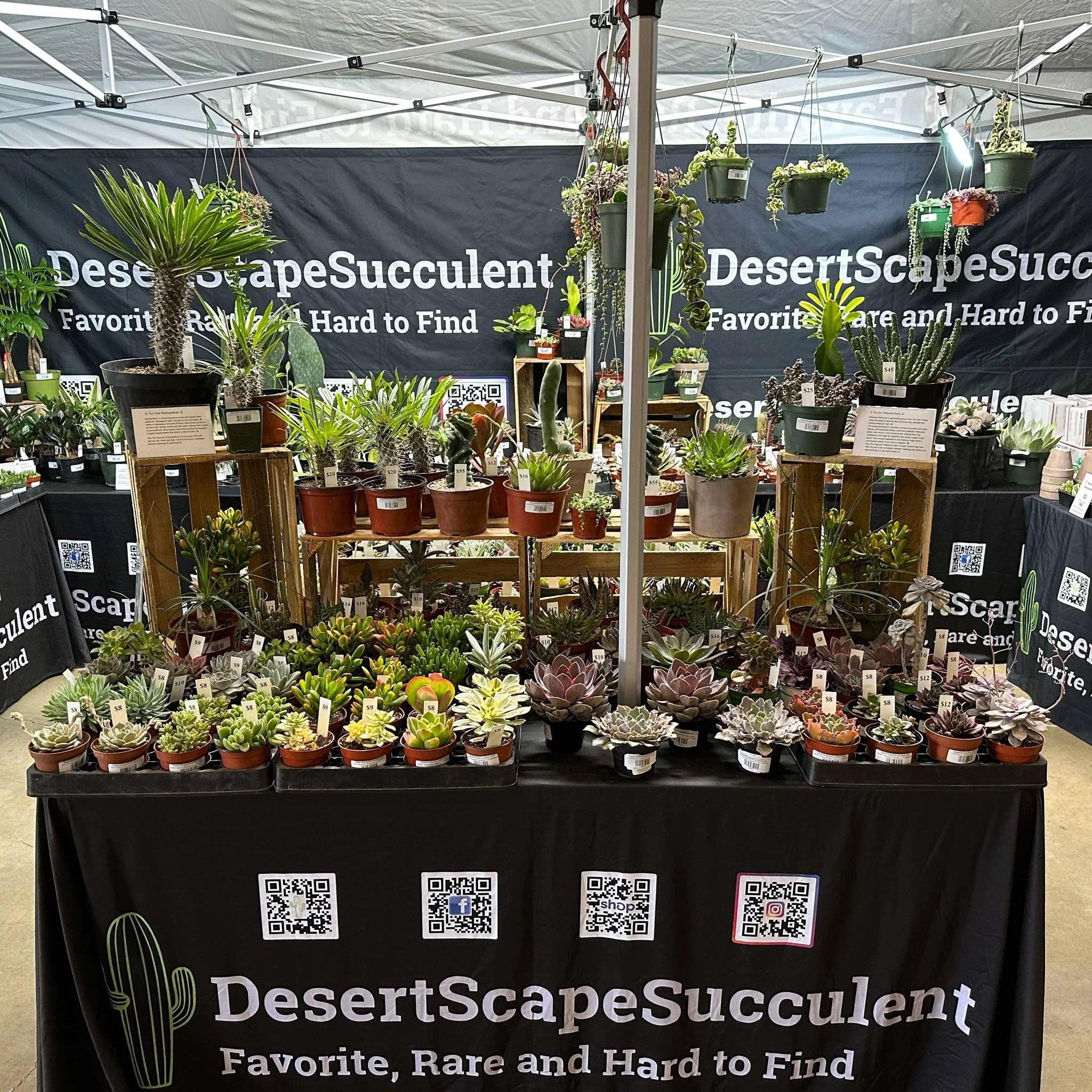 DesertScapeSucculent booth setup 4