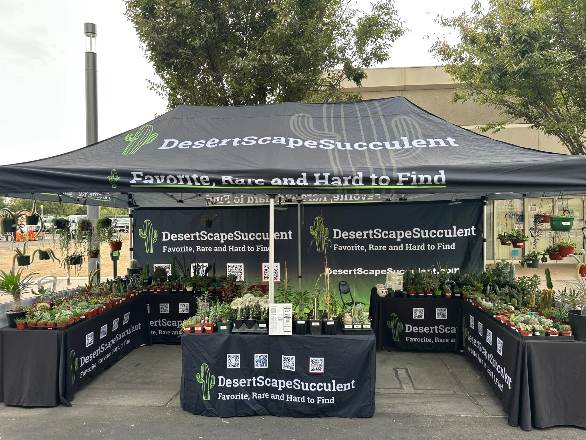 DesertScapeSucculent booth setup 5