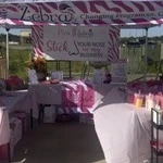 Momma C Fairy Sprinkles (PinkZebra) booth setup 2
