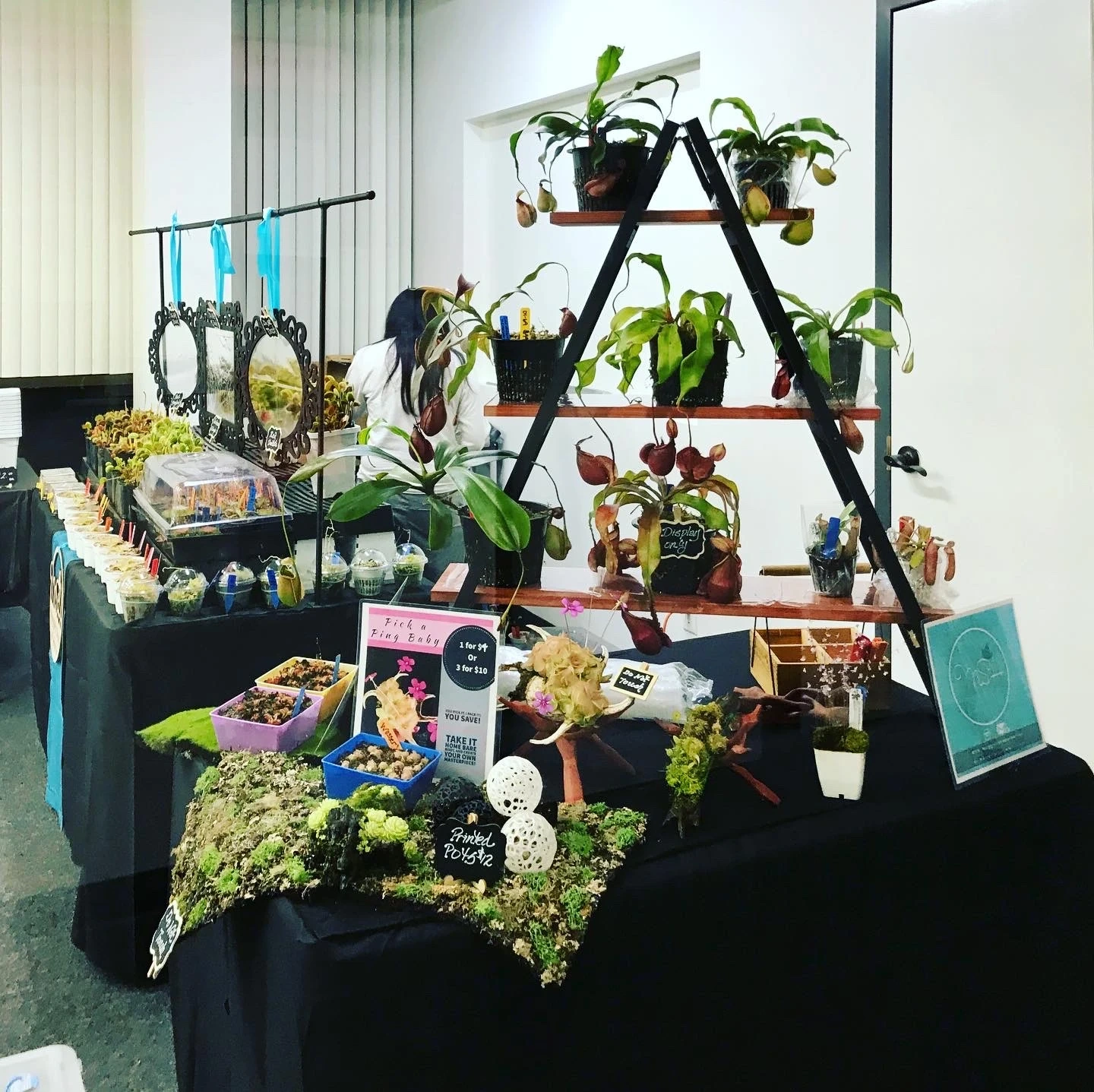 MSH Carnivorous Plants booth setup 2
