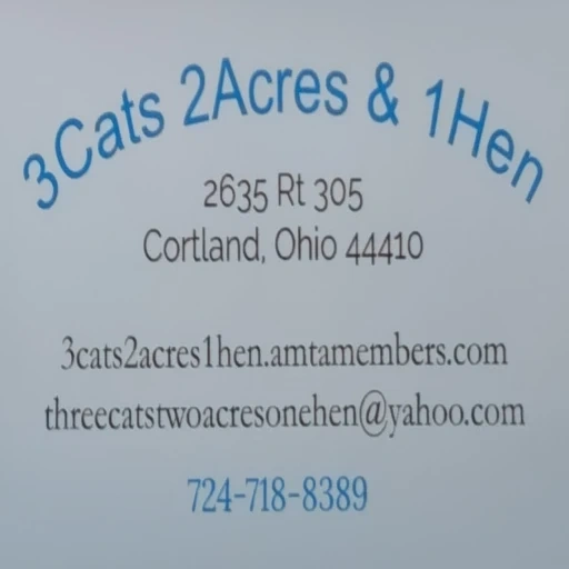 3Cats 2Acres & 1Hen logo