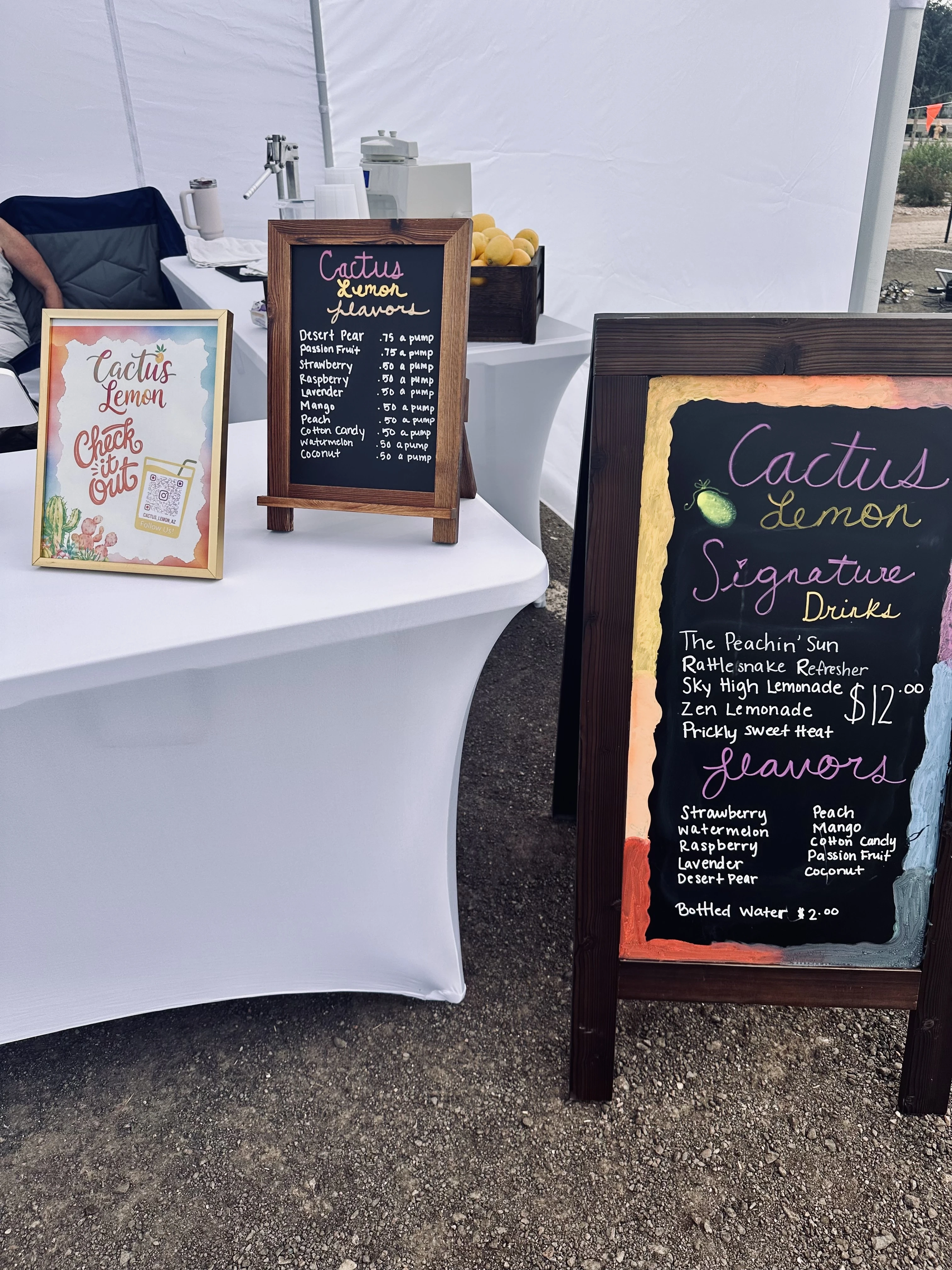 Cactus Lemon booth setup 1